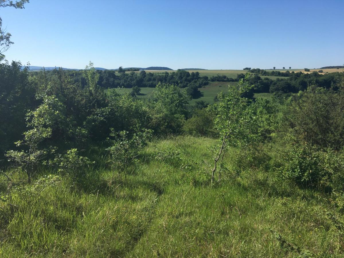 לינה וארוחת בוקר Fontenay-près-Vézelay Au Cheval Bleu מראה חיצוני תמונה