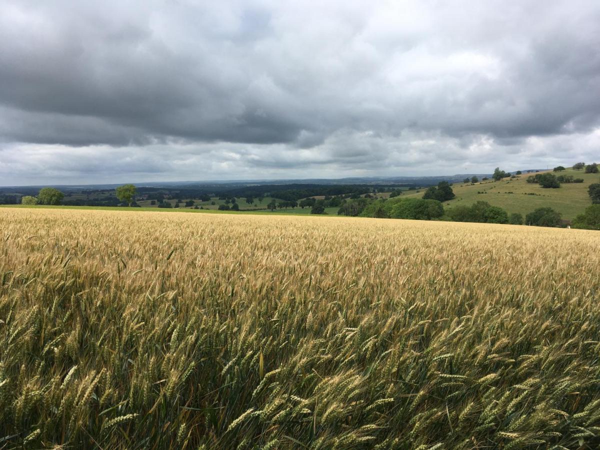 לינה וארוחת בוקר Fontenay-près-Vézelay Au Cheval Bleu מראה חיצוני תמונה